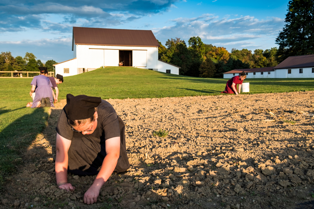 Woman working on a farm in Amish Country Ohio