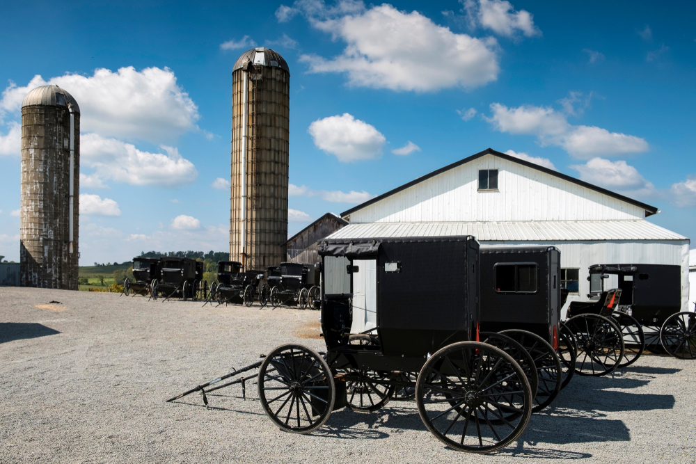 10 Things To Do In Amish Country Ohio - Linda On The Run