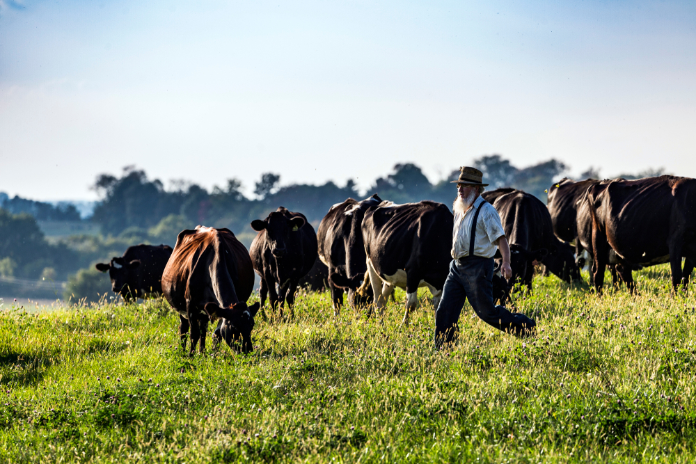 A farmer in Amish Country Ohio