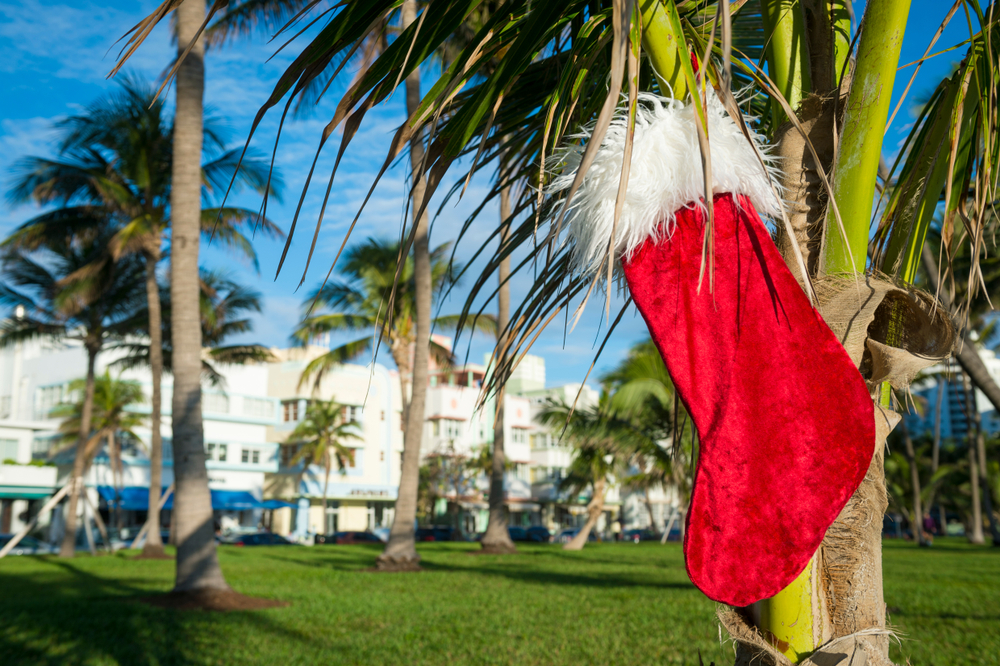 Christmas stocking hanging from a Palm Tree