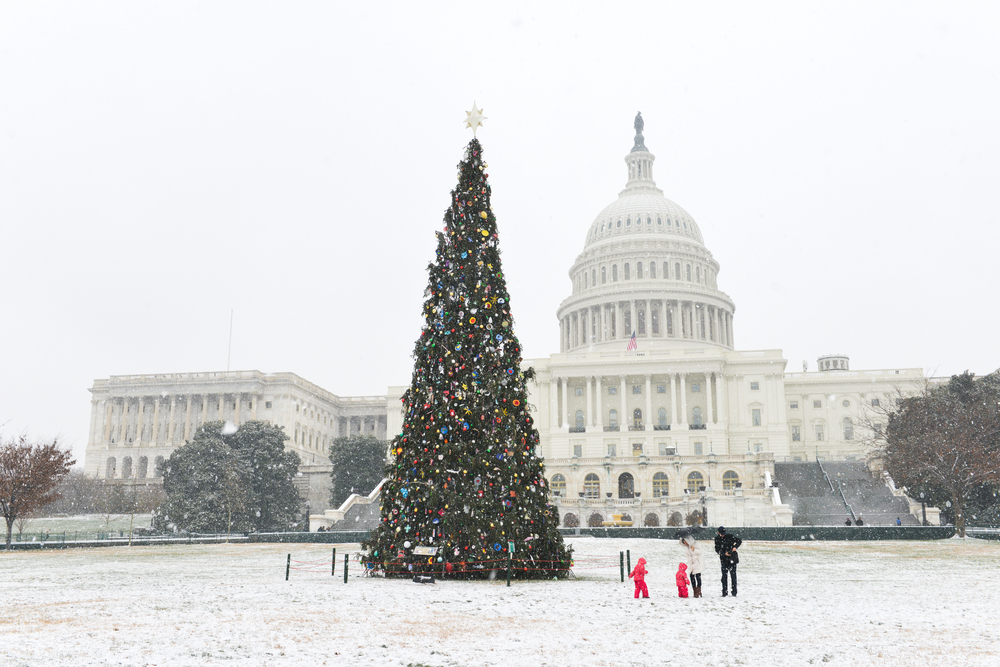 Christmas Tree on a snowy lawn in front of the Capitol Building Washington a Christmas vacations in the USA