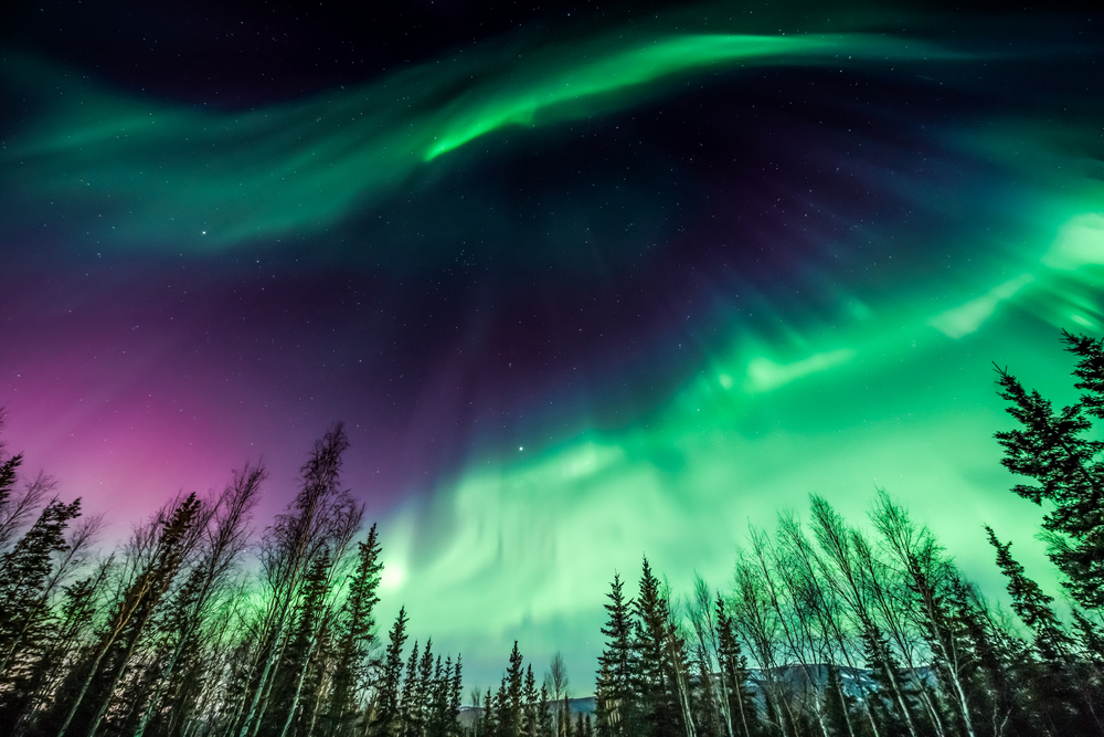 purple and green northern lights in the sky