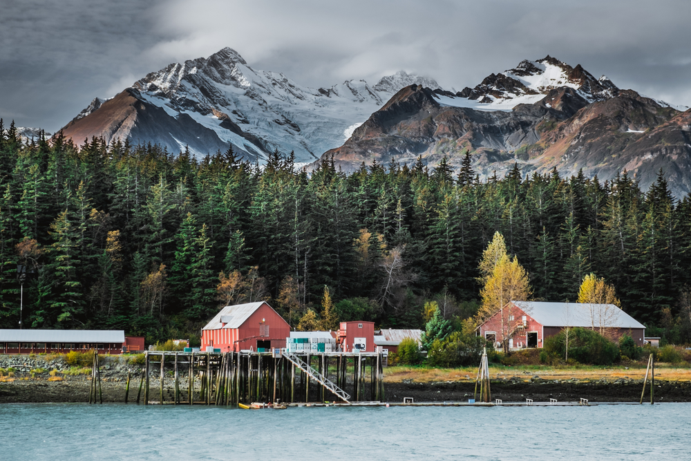 houses surrounded by trees and snowy mountains towns in alaska
