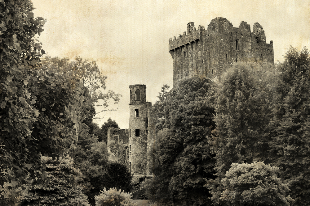 old postcard photo of a castle surrounded by trees