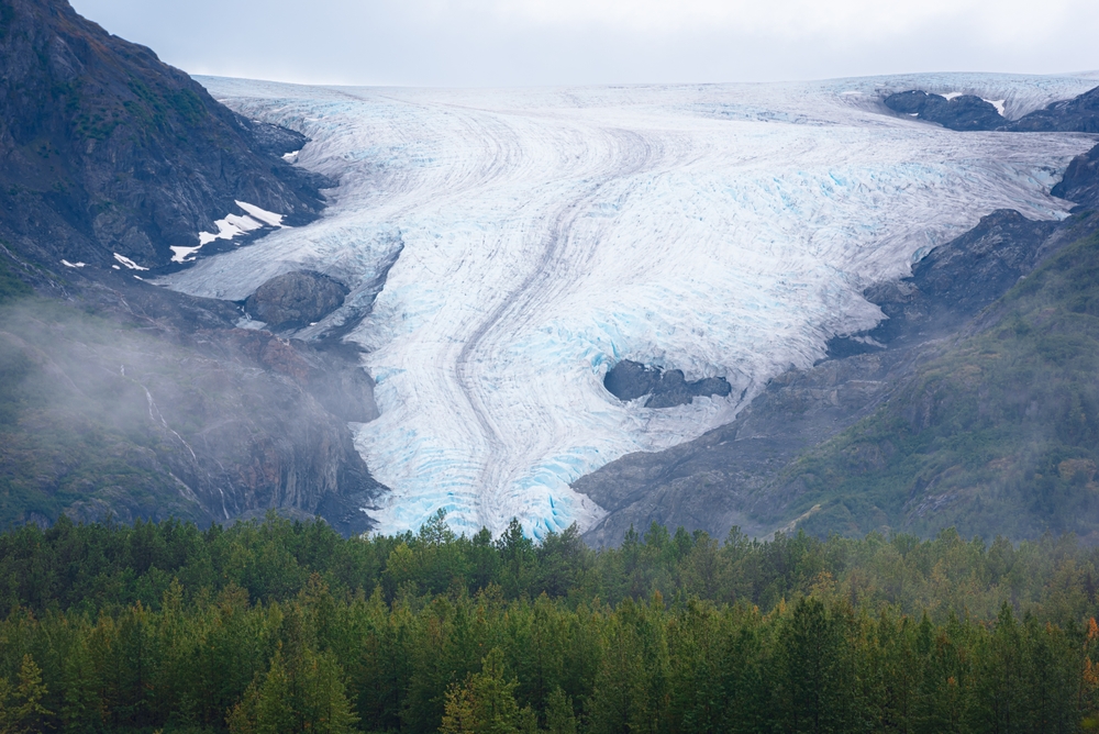 glacier flowing down to the forest trees