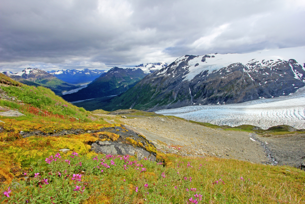meadow surrounded by glacier and mountains