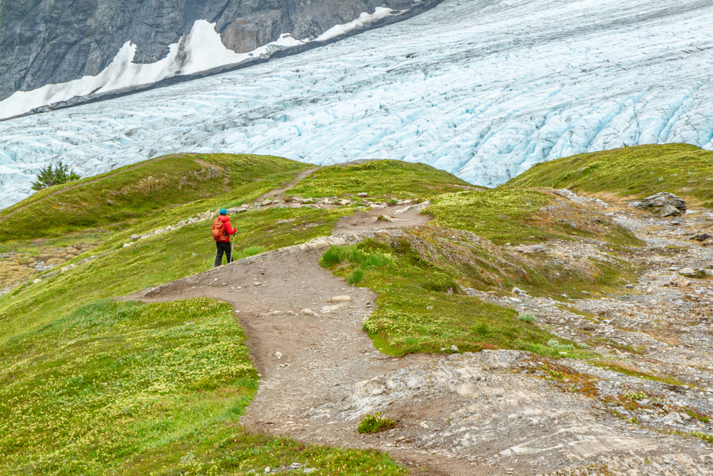 person in red jacket walking towards the glacier through a green trail 
