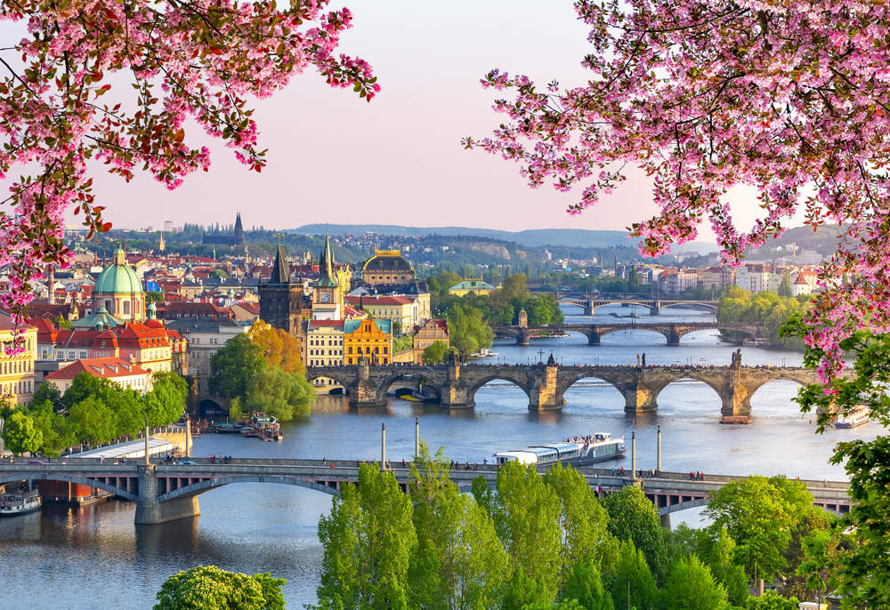 bridges over a river with pink flowers framing the view traveling to prague