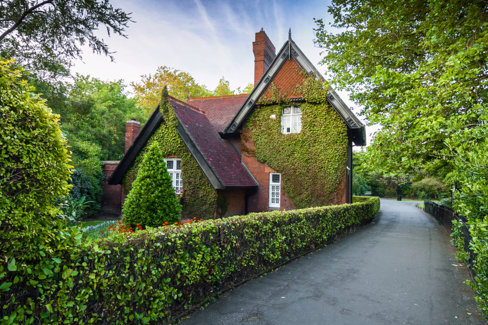 brick cottage houses covered with ivy beside a narrow road traveling to ireland