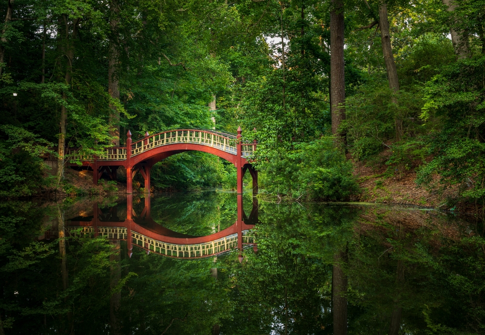 wooden bridge over a lake surrounded by greenery