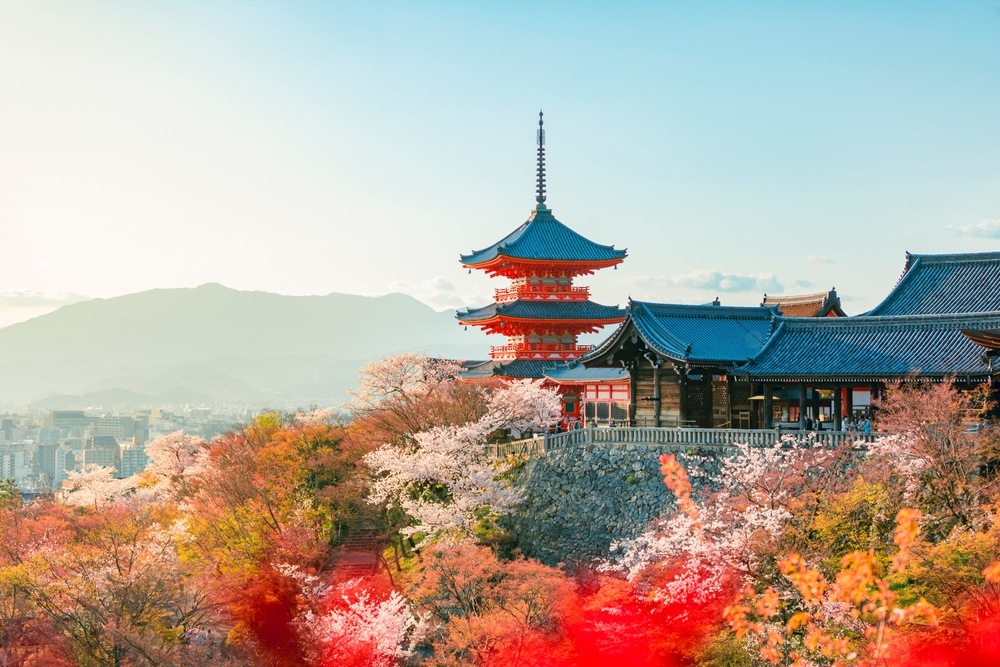 view of japanese temple with cherry blossoms around best things to do in kyoto