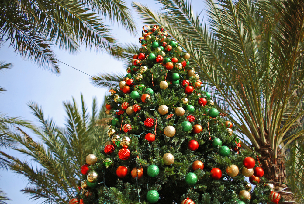 christmas tree decorated christmas in charleston