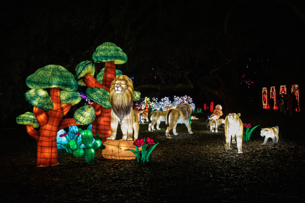 colorful animals and plants lighting in the dark