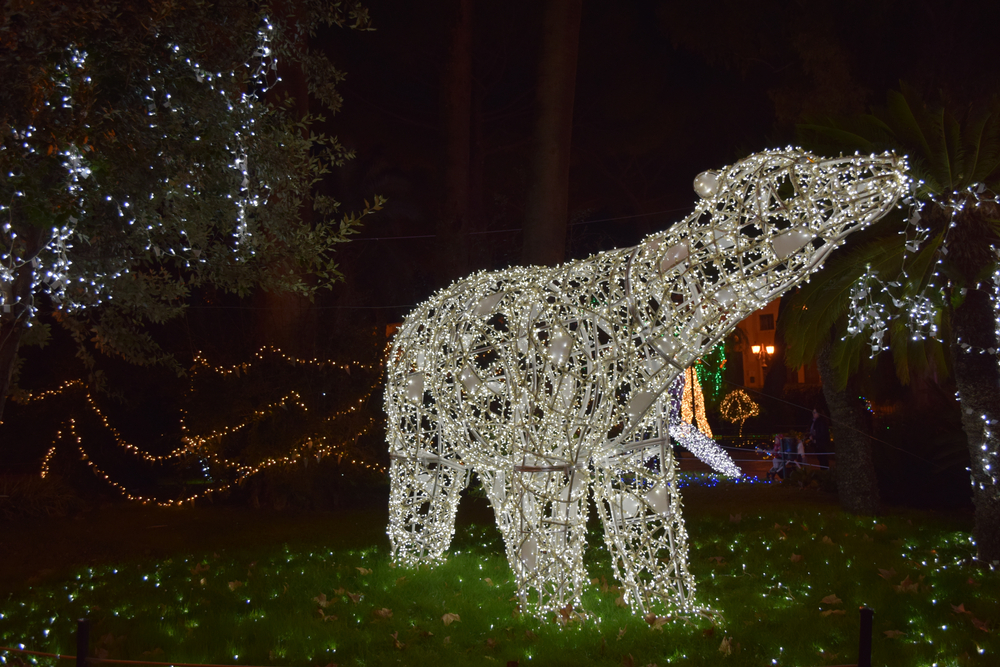 bear christmas lighting decoration in a park christmas in savannah