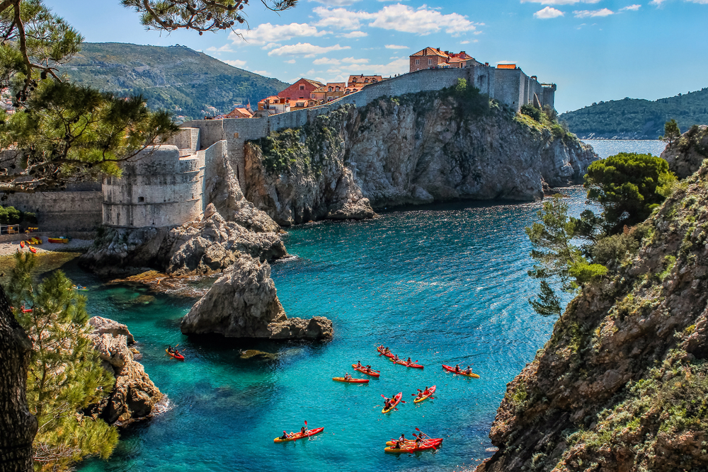 view of a bay with many kayak ships