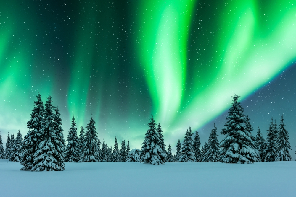 green color lights in the sky christmas vacation ideas