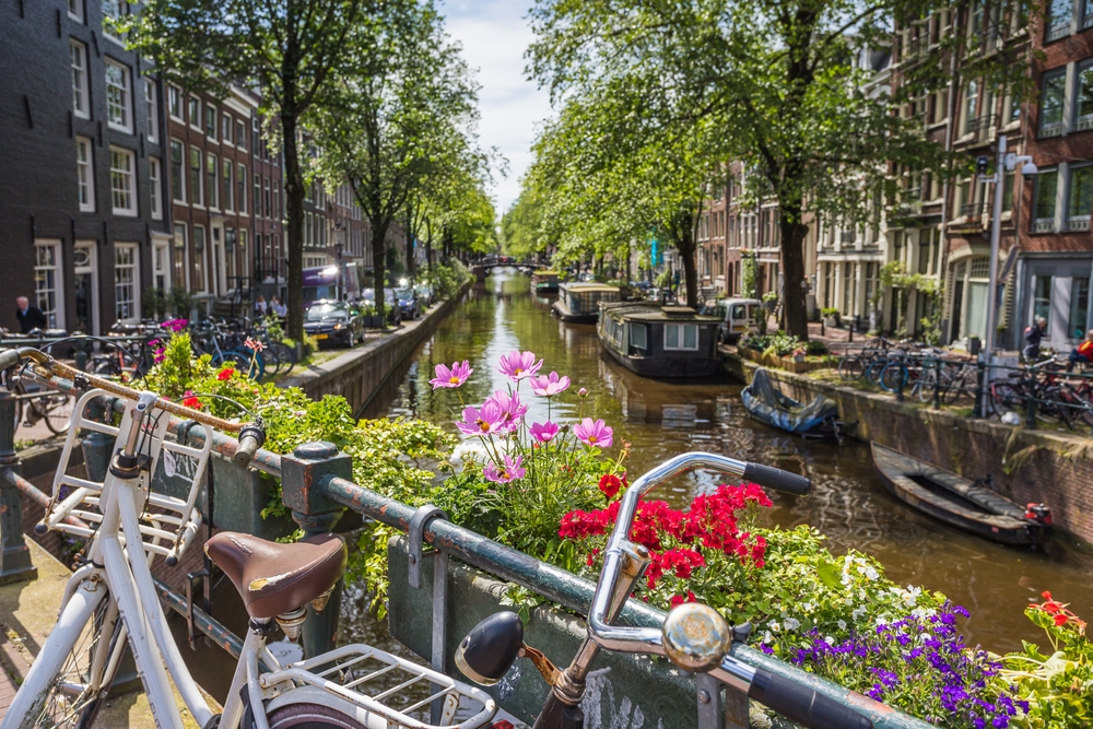 bicycles parked on a street with boats in a canal