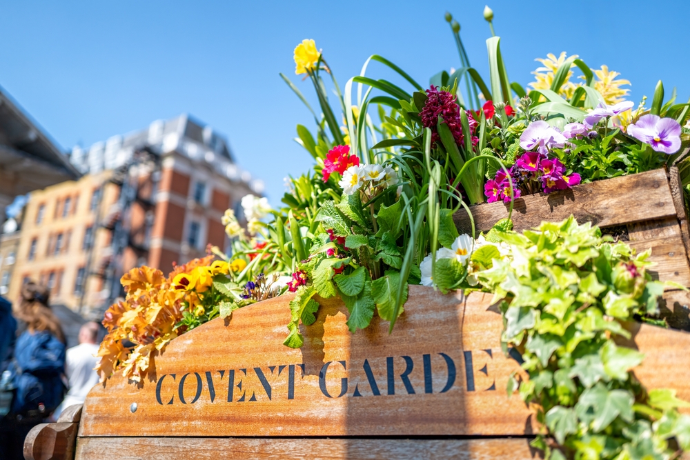 old fashioned wooden barrow with boxes of flowers and covent garden written on it