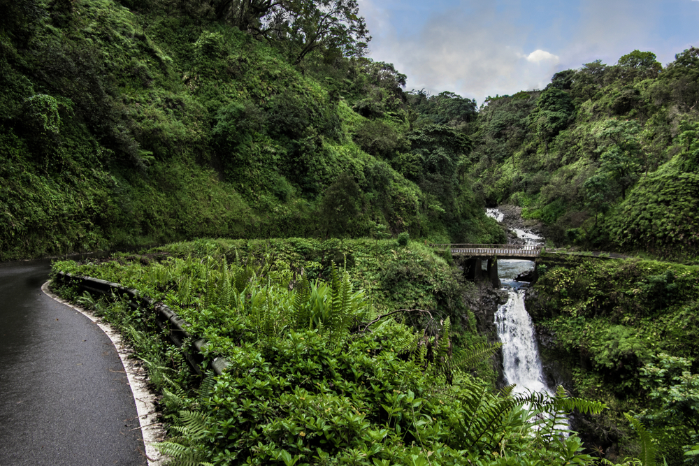 waterfall beside a green road Best Spring Break Destinations for Families