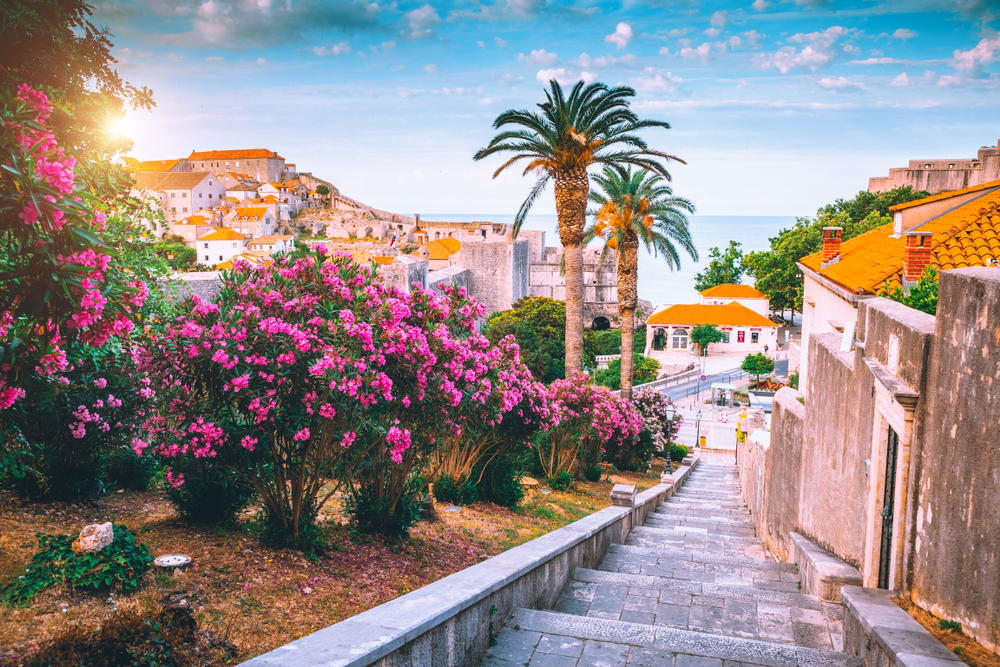 stairs leading to the ocean surrounded by houses with orange roof