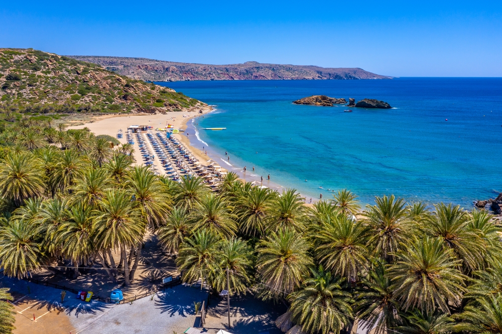 view of beach beside cliffs and palm trees
