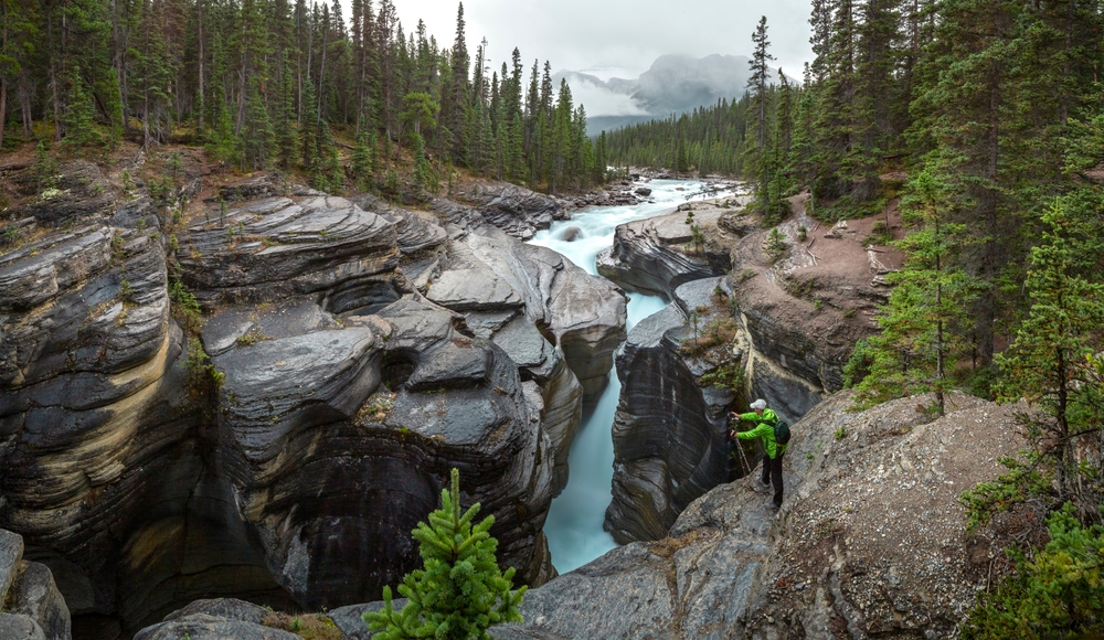 view of a canyon with a river falling down surrounded by trees icefields parkway