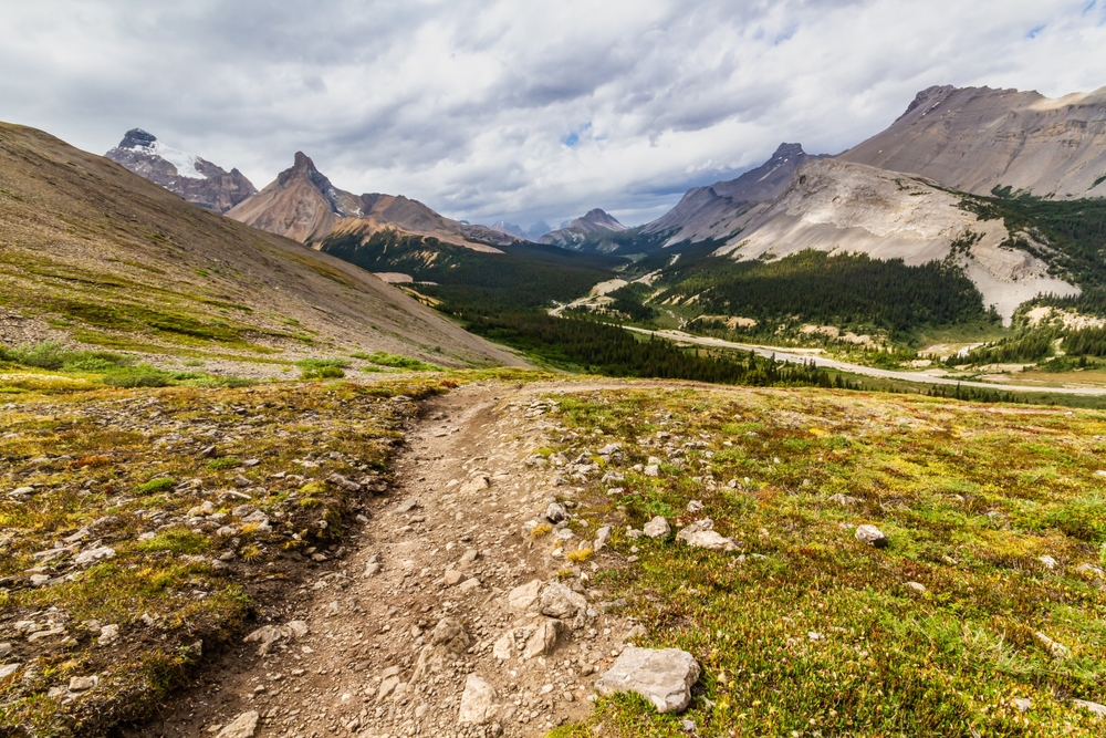 hiking trail in the mountains