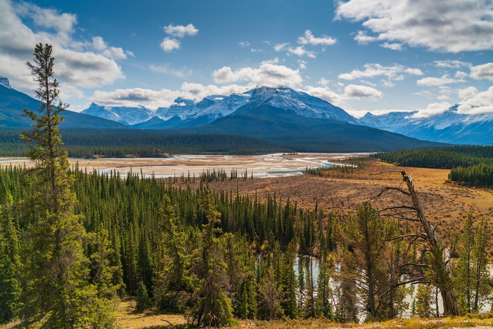 river with forests and mountains surrounding it
