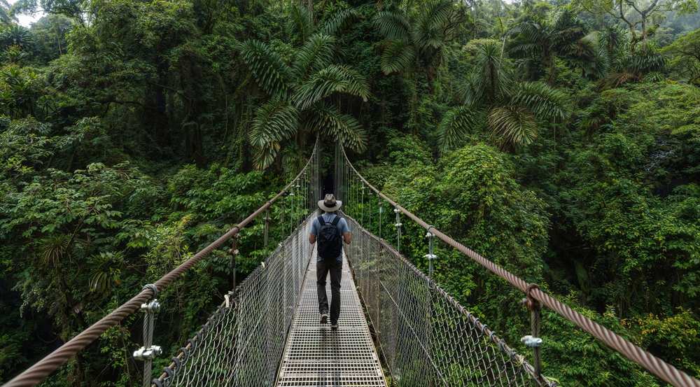 man walking on a suspension bridge in rainforest warm weather getaways