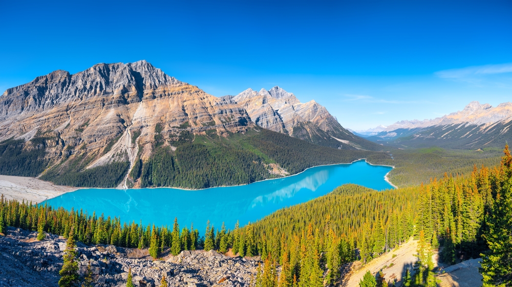 blue colored lake surrounding by forest and mountains icefields parkway