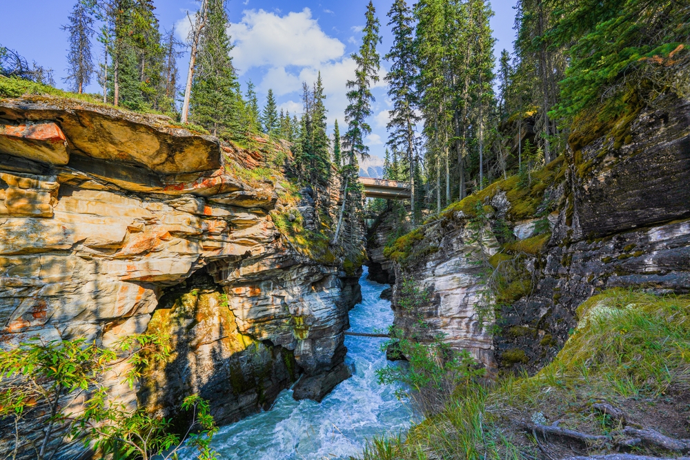 waterfall through a narrow gorge things to do in jasper