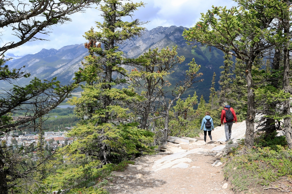 couple hiking between the trees surrounded by mountains