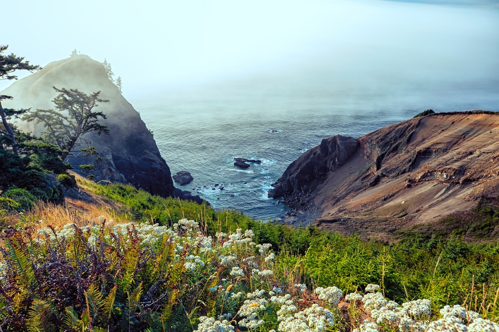view from a cliff oregon coast getaways