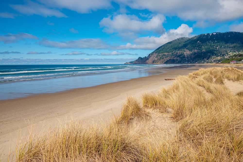 beach with brown grass and a small hill in the distance