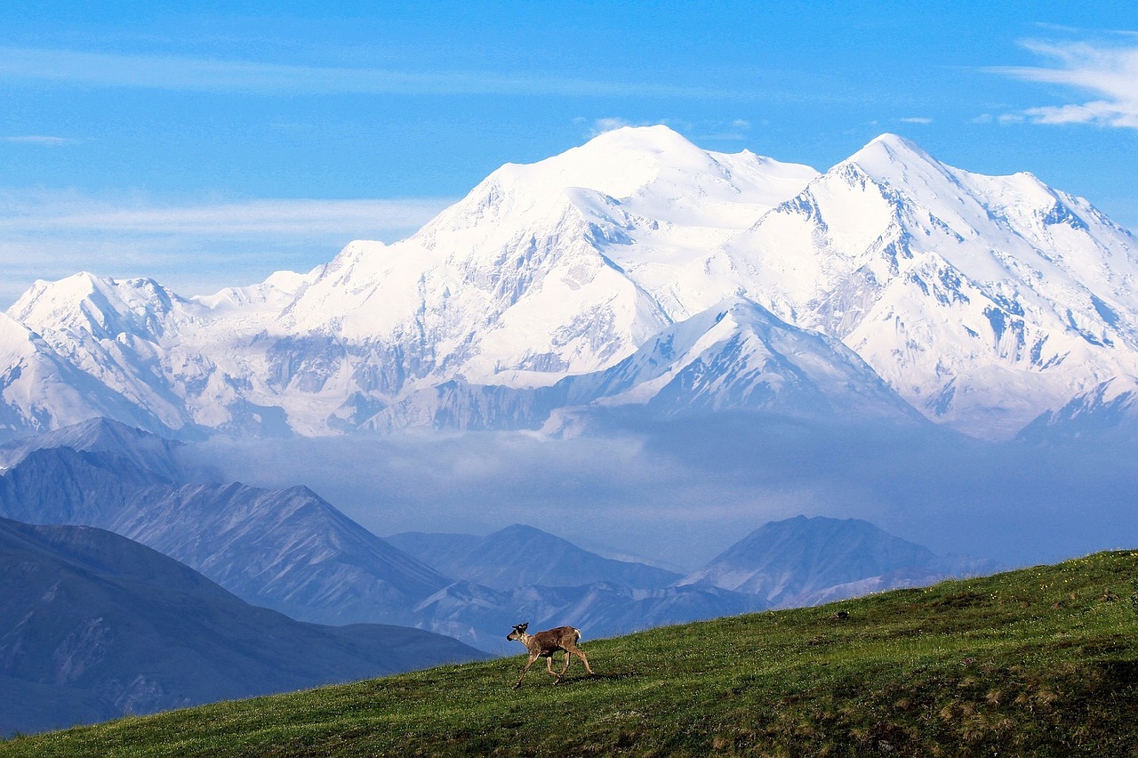 Top 5 Senior Travel Destinations Alaska