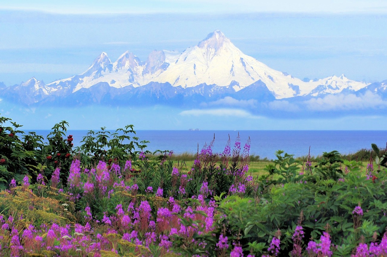 Top 5 Senior Travel Destinations Homer Alaska