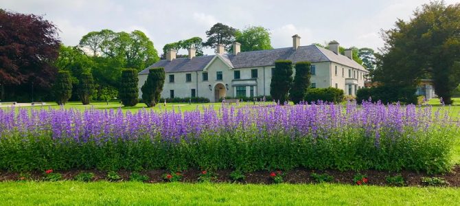 Charming Things To Do In Killarney For First Time Visitors Charming Things To Do In Killarney For First Time Visitors