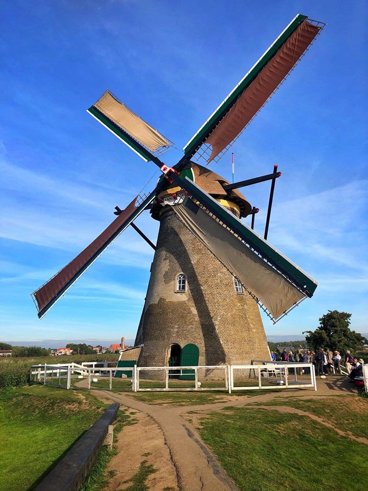 Viking Grand European Cruise windmill