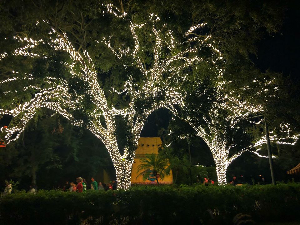 BG Christmas town lit trees