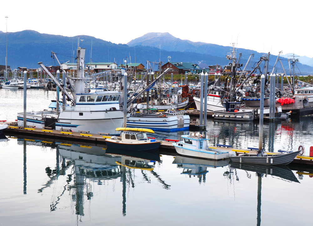 Visiter la marina d'Homer est une chose amusante à faire lorsque vous visitez Homer