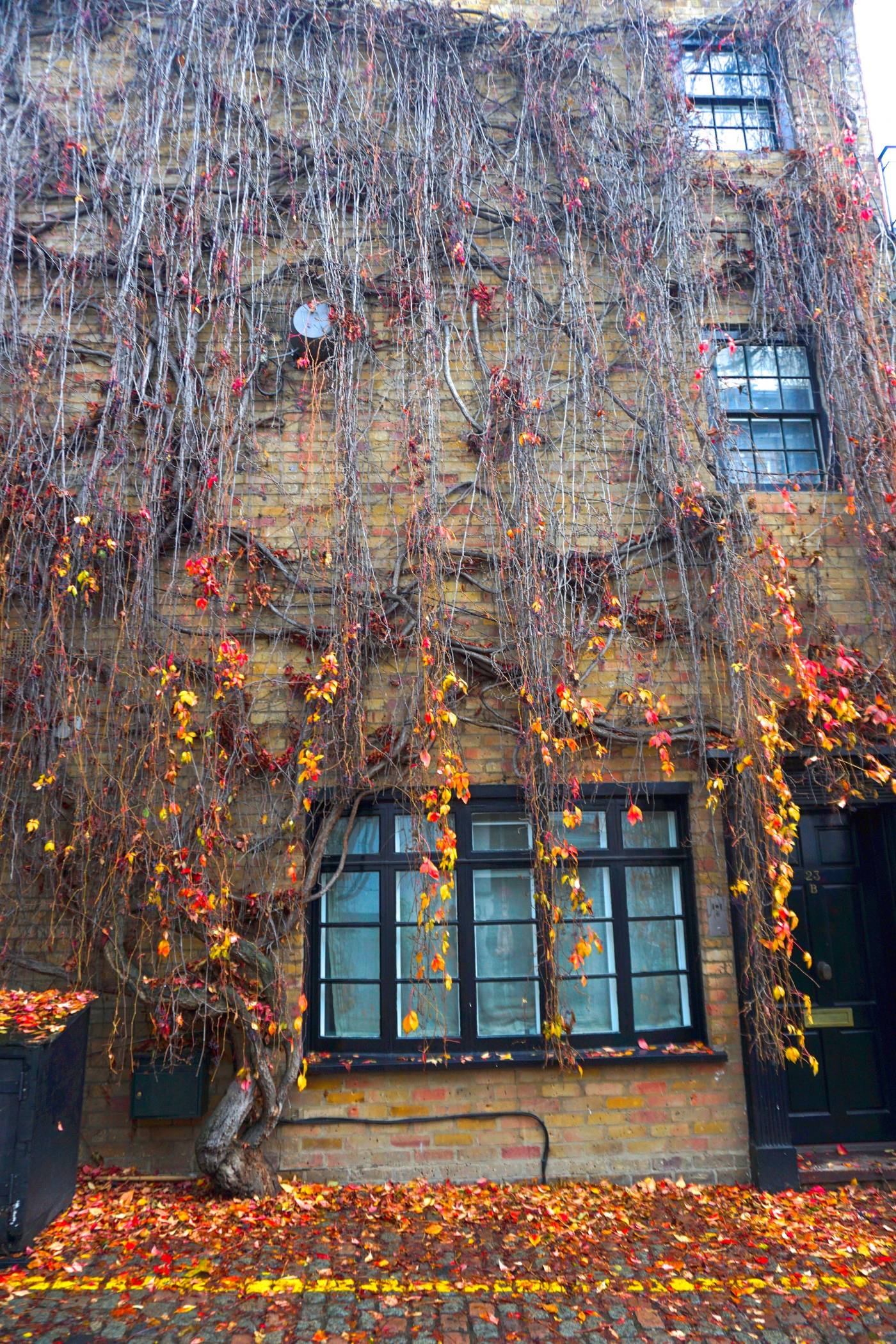 Beautiful Places in London Kynance Mews