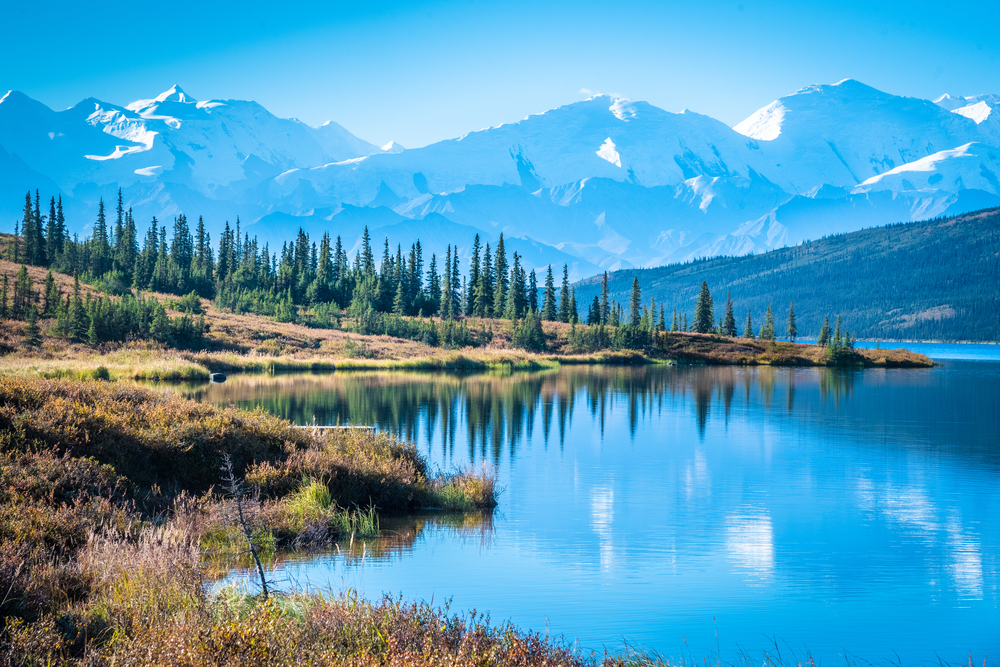 Denali National Park in Alaska is breathtaking