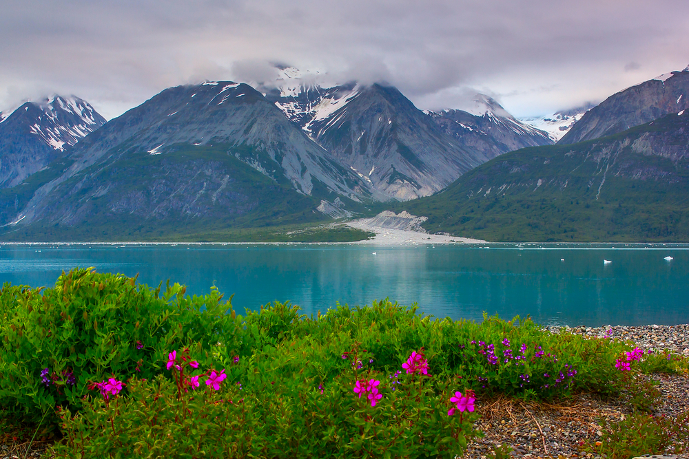 Summers in Alaska are beautiful and warm