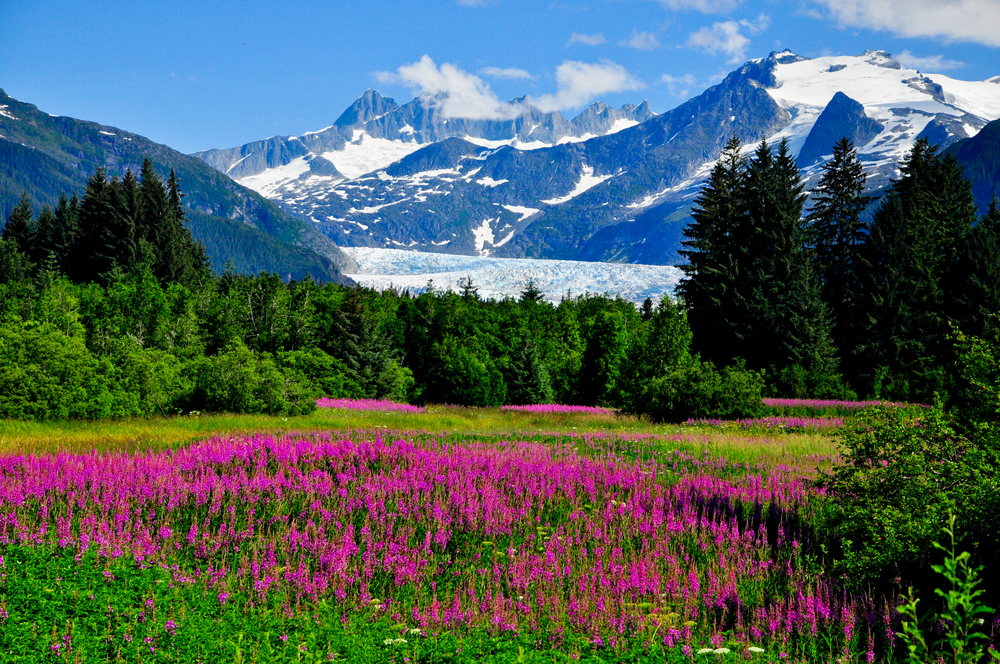 Seeing epic views of Alaska mountains