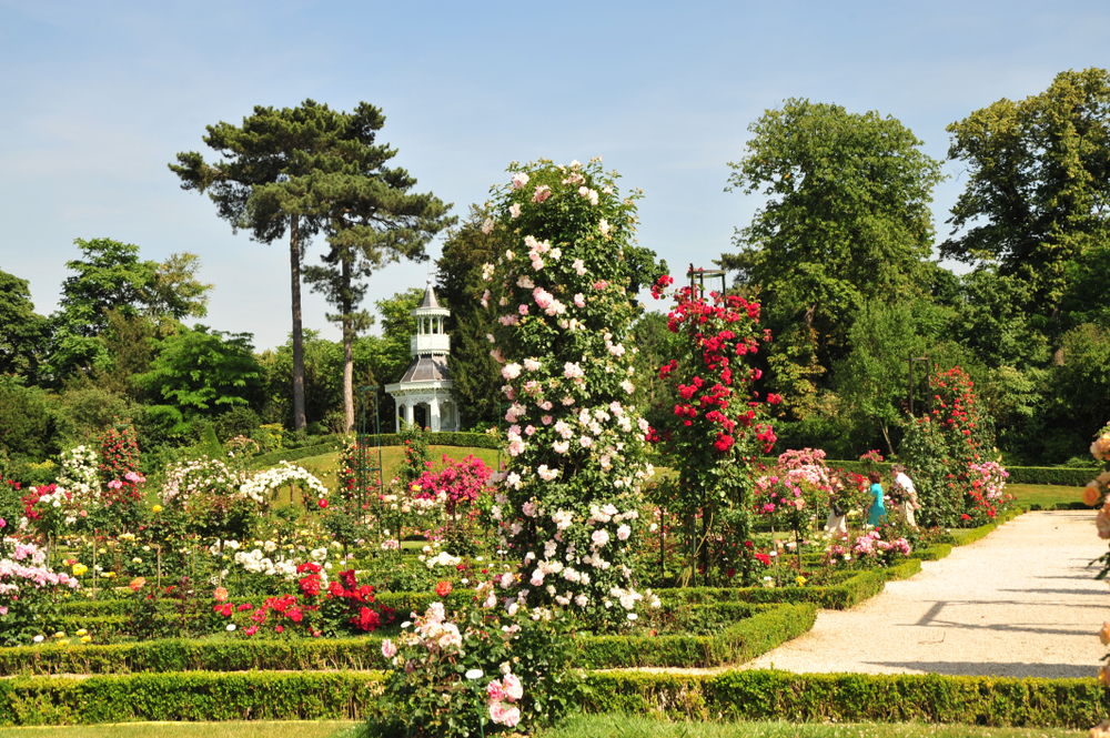 Gardens and Parks in Paris Bagatelle Park