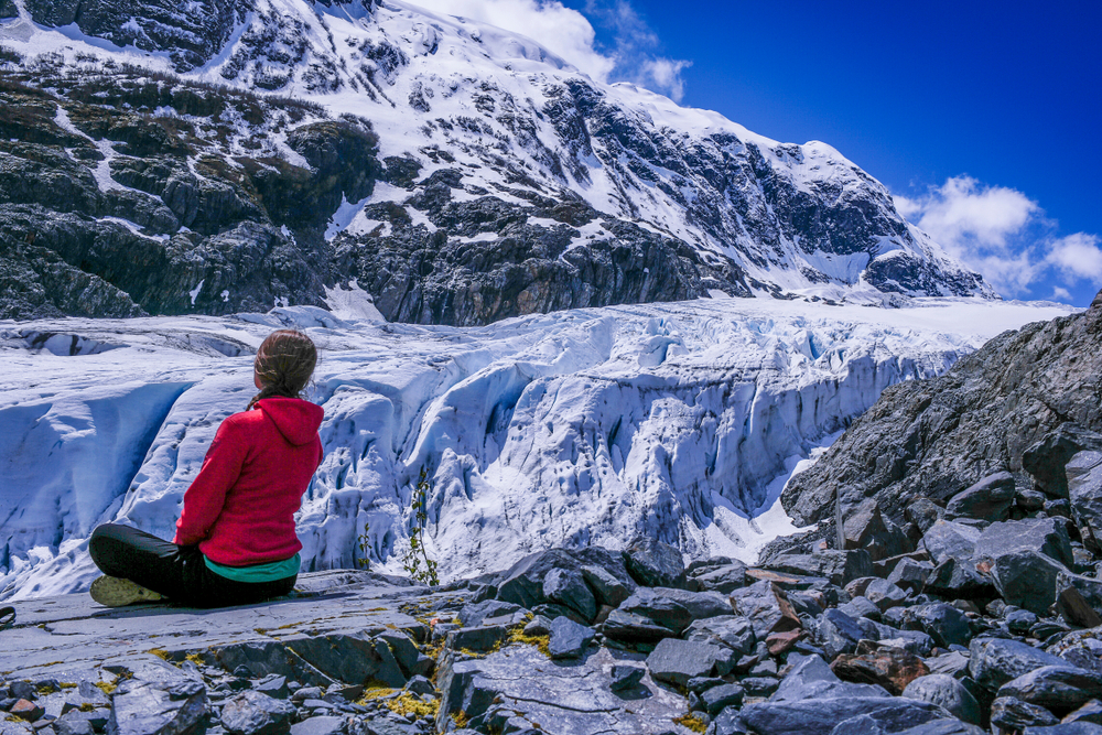 Exit Glacier 3559