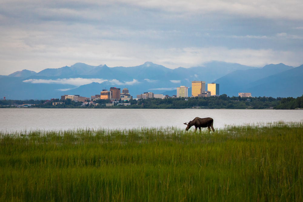 21 Best Things To Do In Anchorage Linda On The Run