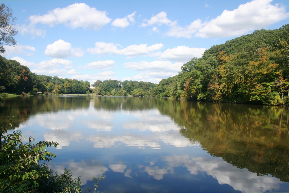 Calm lake surrounded by green evergreen trees with blue sky with clouds in background.