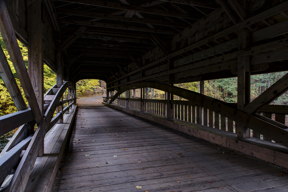  Closeup of historic wooden covered bridge among forested trees and leaves