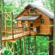 wooden cabin with bridge on stilts high in green trees